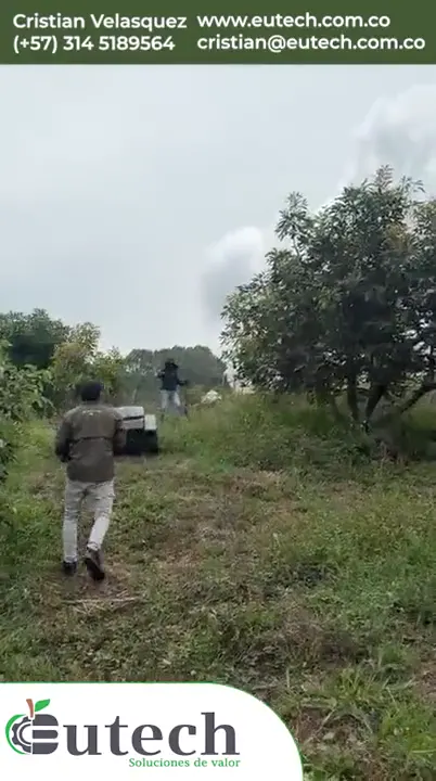 Podadora SH-800DL operando entre árboles frutales — clic para reproducir video